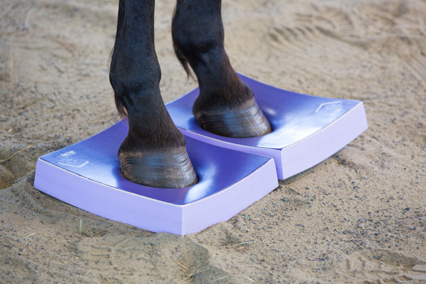 Balance pads which are used in an equine massage therapy session