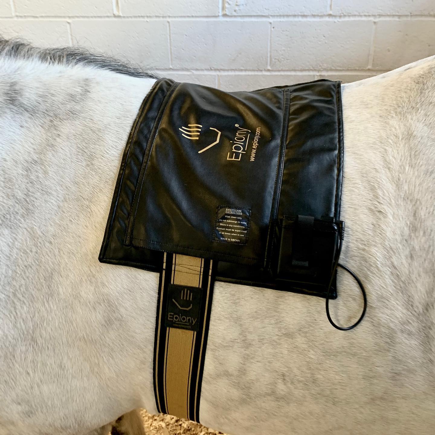Photo of a horse receiving heat therapy on its back using the Epiony heat pad.